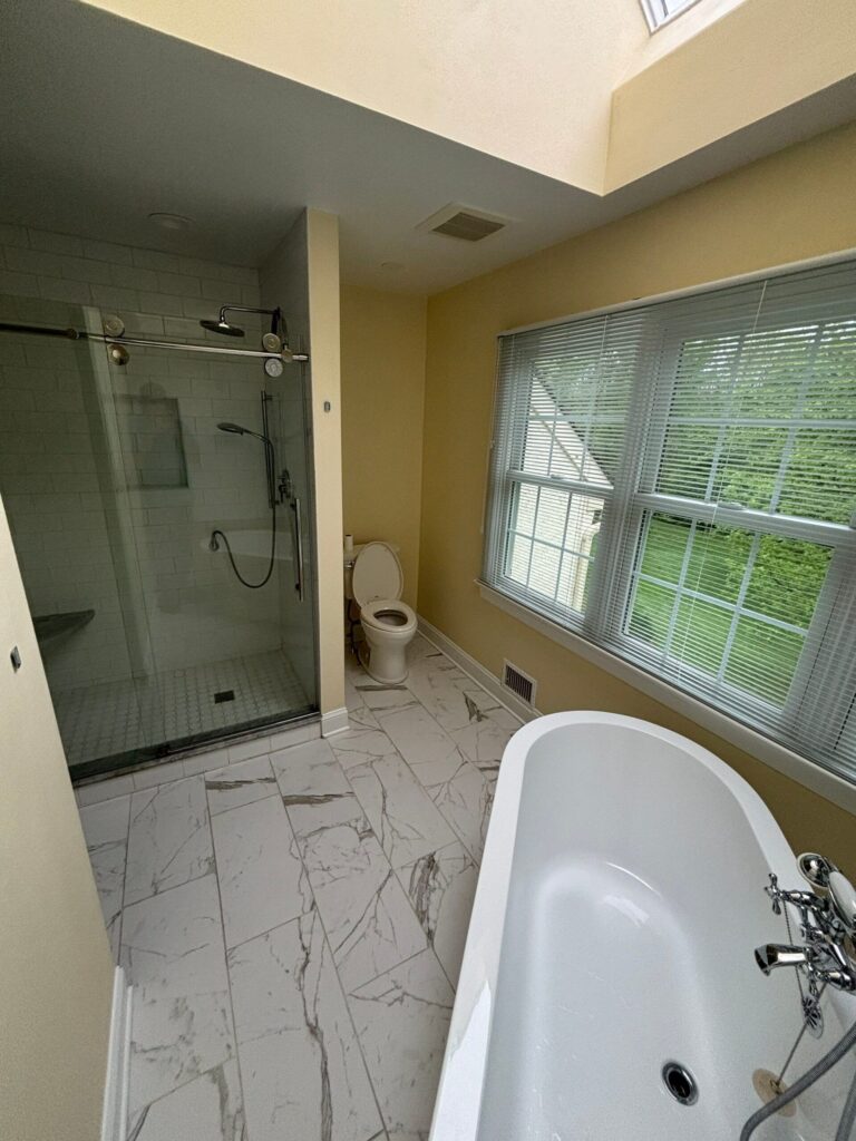 Daimion Home Improvements Bathroom Renovation Before Work in Progress